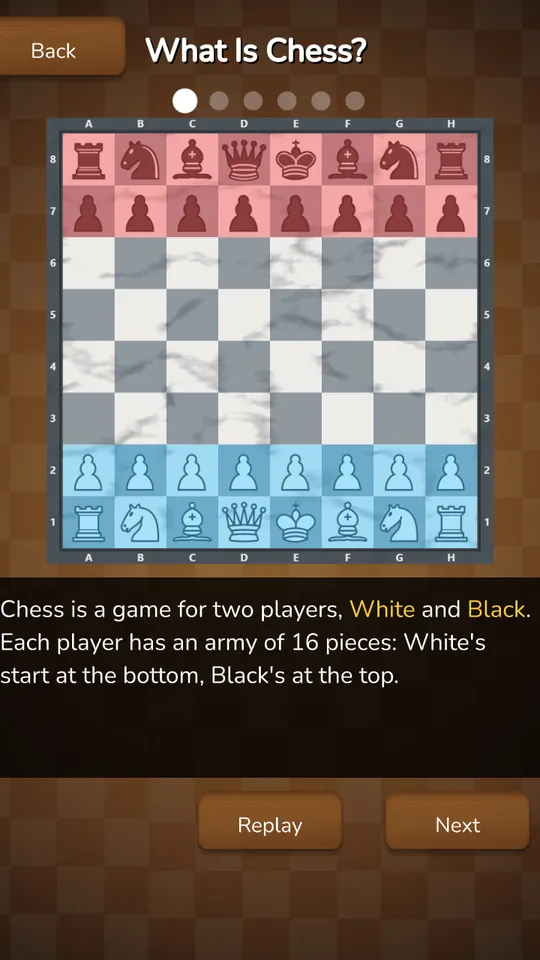 Learn Chess: the first lesson